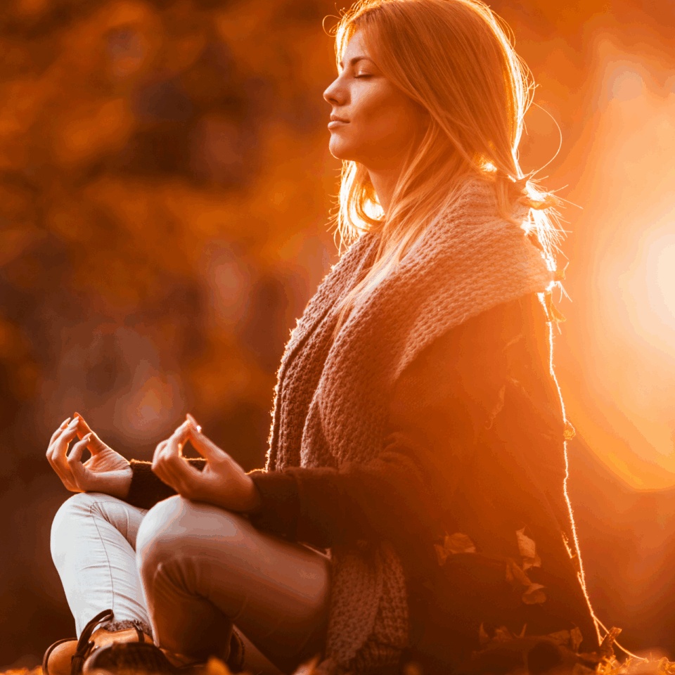 fall meditation